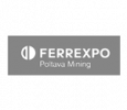 ferrexpro-new